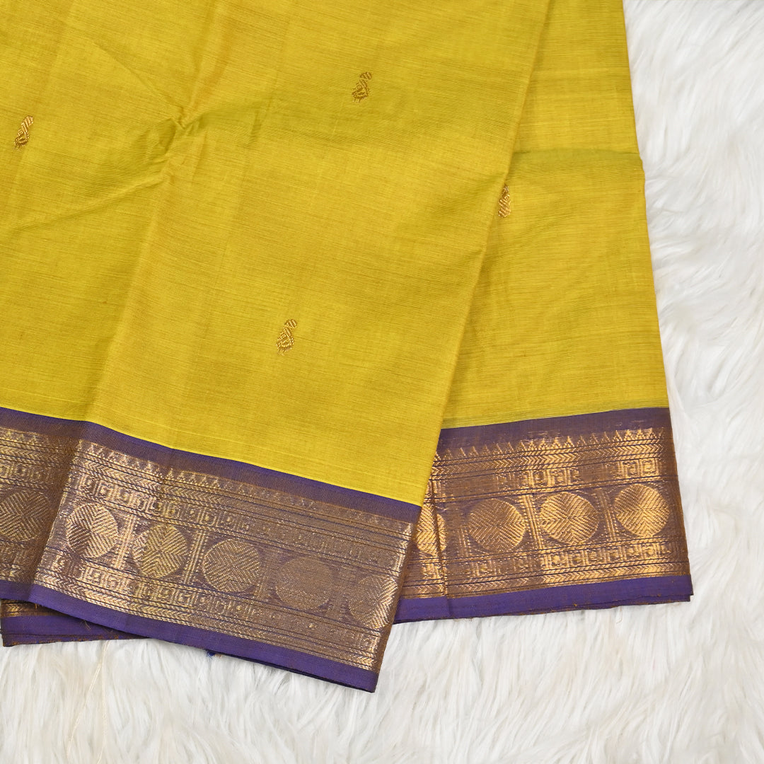 Chettinad Cotton - Gold