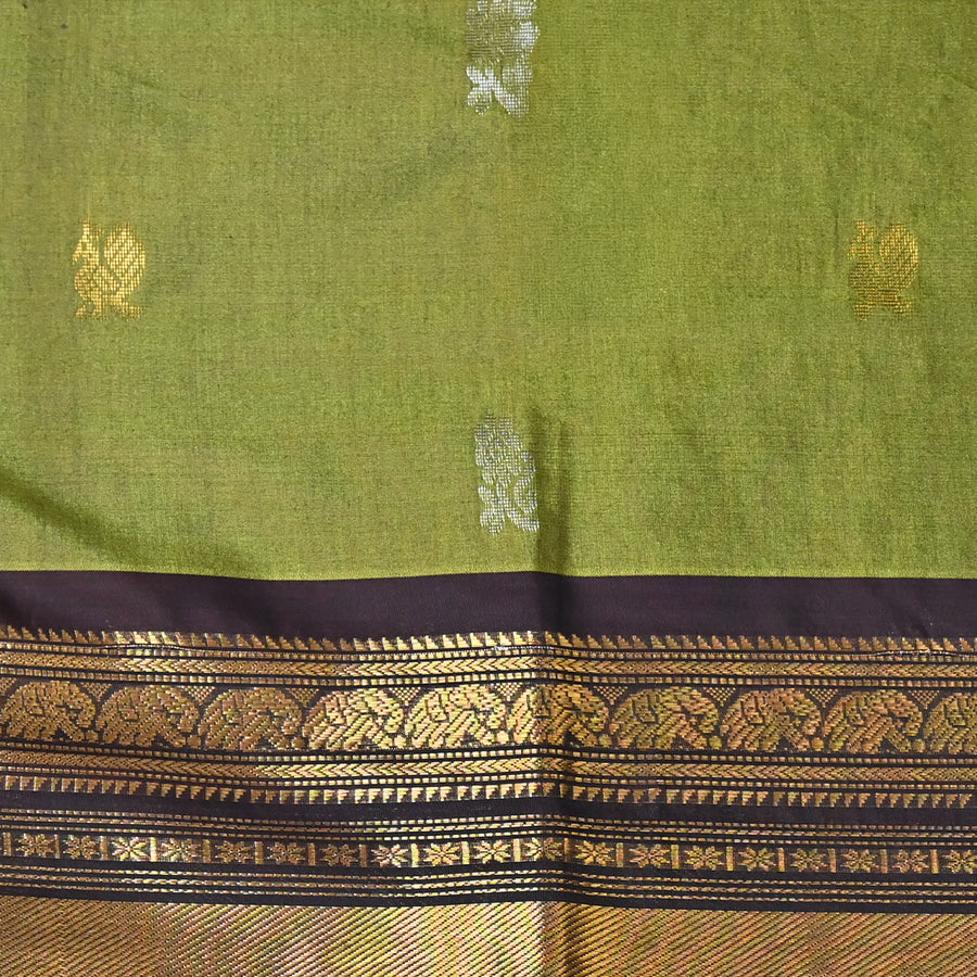 Sico Gadwal - Moss Green