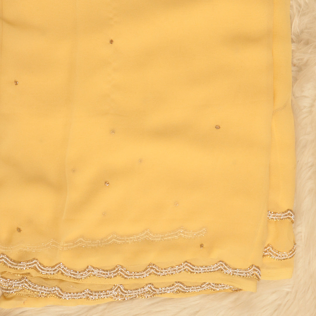 Fancy Cut Work Saree