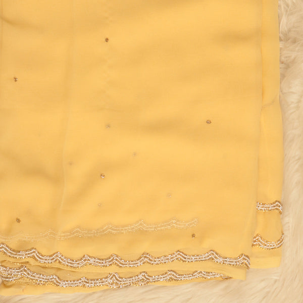 Fancy Cut Work Saree