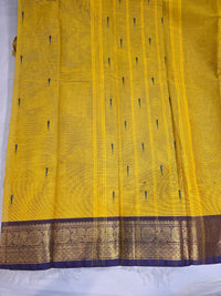 Kanchi Cotton