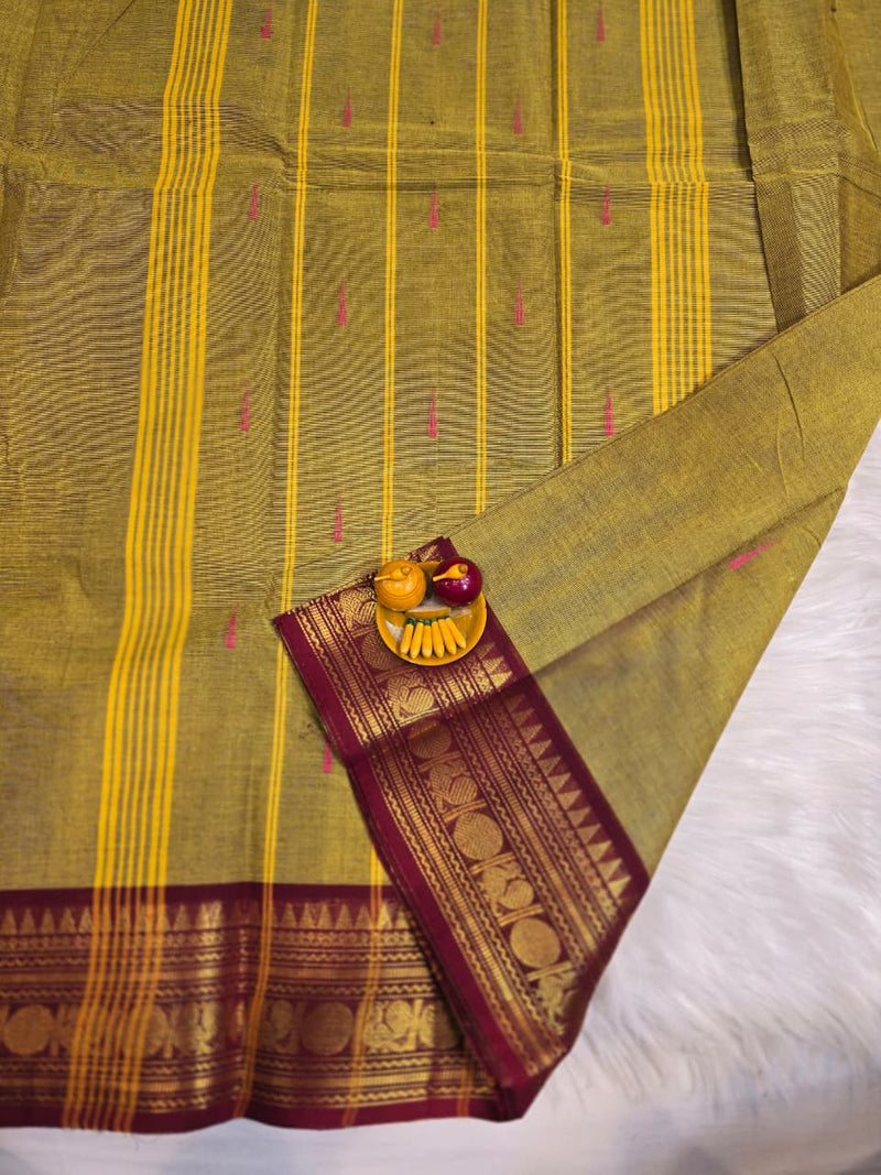 Kanchi Cotton