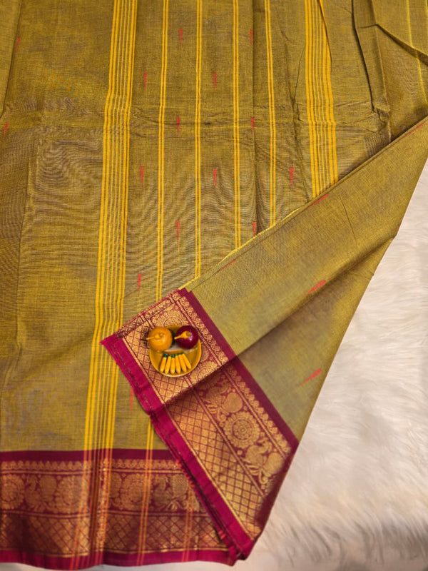 Kanchi Cotton